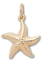 Starfish Pendant